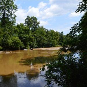 Photo #33 of 1344-1540 NC Highway 89, Danbury, NC 90.0 acres