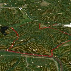 Photo #45 of 1344-1540 NC Highway 89, Danbury, NC 90.0 acres