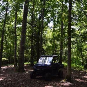 Photo #15 of 1344-1540 NC Highway 89, Danbury, NC 90.0 acres