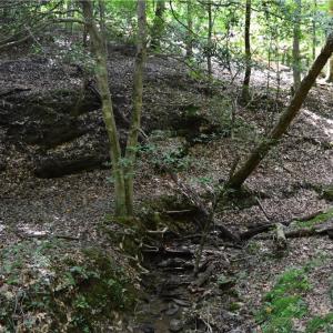 Photo #19 of 1344-1540 NC Highway 89, Danbury, NC 90.0 acres