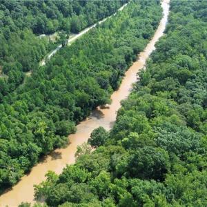 Photo #4 of 1344-1540 NC Highway 89, Danbury, NC 90.0 acres