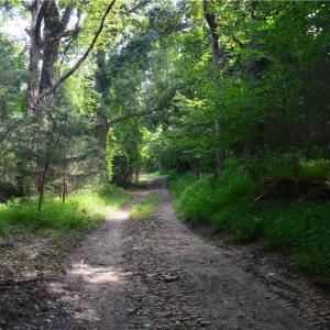 Photo #8 of 1344-1540 NC Highway 89, Danbury, NC 90.0 acres