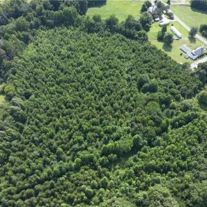 Photo #6 of 1731 Sandy Cross, Reidsville, NC 44.2 acres