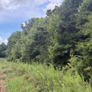 Photo #13 of 1731 Sandy Cross, Reidsville, NC 44.2 acres