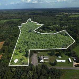 Photo #3 of 1731 Sandy Cross, Reidsville, NC 44.2 acres