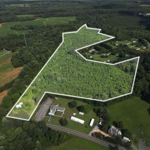 Photo #1 of 1731 Sandy Cross, Reidsville, NC 44.2 acres
