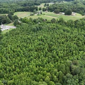 Photo #5 of 1731 Sandy Cross, Reidsville, NC 44.2 acres