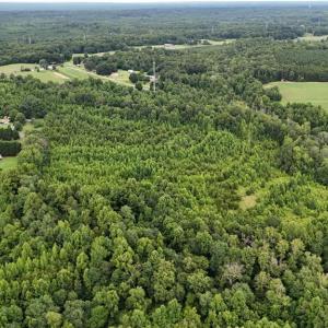 Photo #4 of 1731 Sandy Cross, Reidsville, NC 44.2 acres