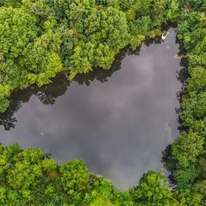 Photo #7 of 2621 Brim, Greensboro, NC 29.2 acres