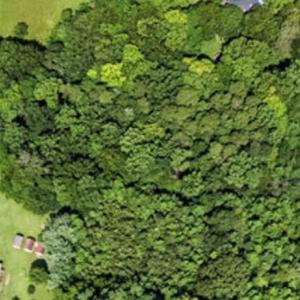 Photo #2 of 948 Totten, Gibsonville, NC 2.1 acres