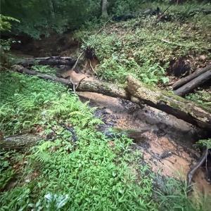 flowing streams