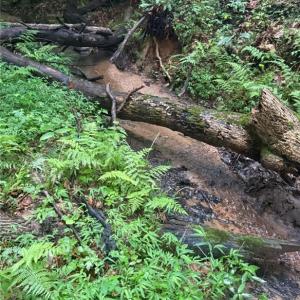 flowing streams