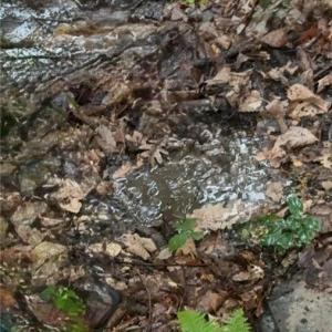 Fresh water spring