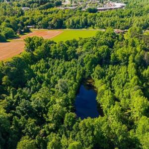 Photo #6 of 8305 Meadows, Oak Ridge, NC 34.3 acres
