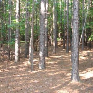 Photo #6 of High Pine Church, Asheboro, NC 32.1 acres