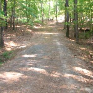 Photo #3 of High Pine Church, Asheboro, NC 32.1 acres