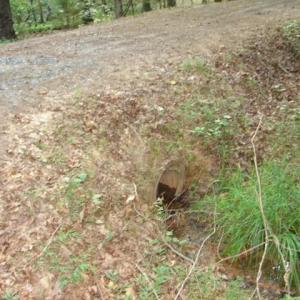 Photo #10 of High Pine Church, Asheboro, NC 32.1 acres