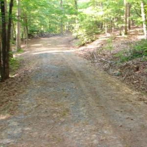 Photo #4 of High Pine Church, Asheboro, NC 32.1 acres