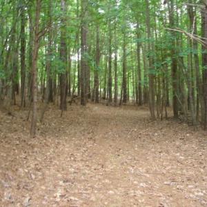 Photo #22 of High Pine Church, Asheboro, NC 32.1 acres