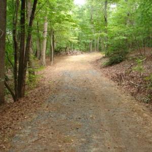 Photo #3 of High Pine Church, Asheboro, NC 32.1 acres