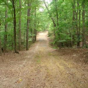 Photo #5 of High Pine Church, Asheboro, NC 32.1 acres