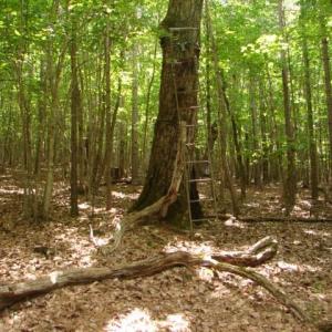 Photo #20 of High Pine Church, Asheboro, NC 32.1 acres