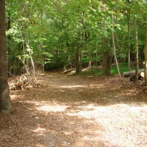 Photo #8 of High Pine Church, Asheboro, NC 32.1 acres