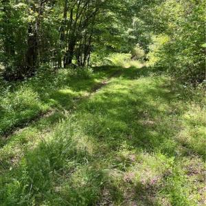 Photo #10 of Hardy, Harmony, NC 32.4 acres