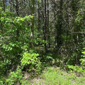 Photo #11 of Hardy, Harmony, NC 32.4 acres