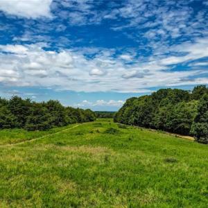 Photo #7 of NC Highway 65, Reidsville, NC 44.7 acres