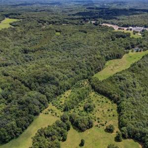 Photo #3 of NC Highway 65, Reidsville, NC 44.7 acres