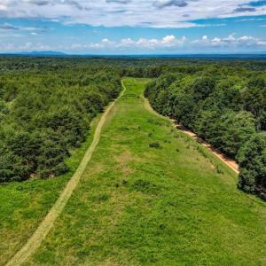Photo #5 of NC Highway 65, Reidsville, NC 44.7 acres
