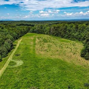 Photo #11 of NC Highway 65, Reidsville, NC 44.7 acres