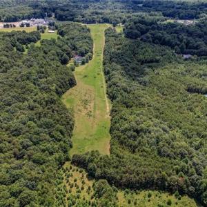Photo #4 of NC Highway 65, Reidsville, NC 44.7 acres