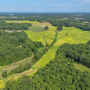 Photo #5 of High Point, Kernersville, NC 15.0 acres