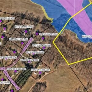 Flood map from Forsyth Co. Arcgis