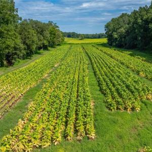 Photo #11 of High Point, Kernersville, NC 15.0 acres