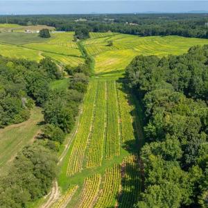 Photo #8 of High Point, Kernersville, NC 15.0 acres