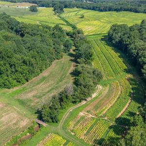 Photo #6 of High Point, Kernersville, NC 15.0 acres