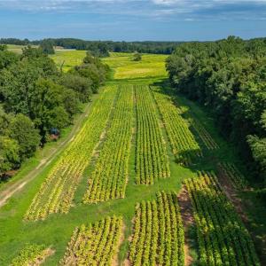 Photo #9 of High Point, Kernersville, NC 15.0 acres