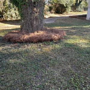 Photo #1 of 1302 Market, Greensboro, NC 0.2 acres