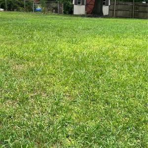 Photo #1 of 1703 Lincoln, Greensboro, NC 0.2 acres