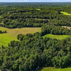 Photo #6 of 1740 NC Highway 61, Whitsett, NC 28.8 acres