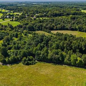 Photo #7 of 1740 NC Highway 61, Whitsett, NC 28.8 acres