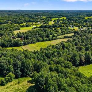 Photo #4 of 1740 NC Highway 61, Whitsett, NC 28.8 acres