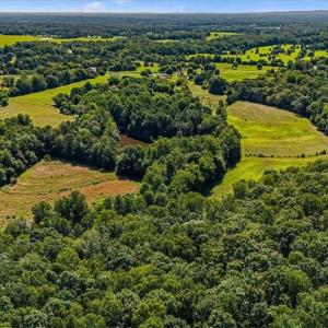 Photo #5 of 1740 NC Highway 61, Whitsett, NC 28.8 acres