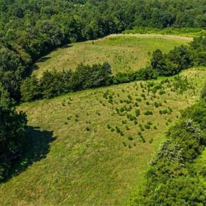 Photo #9 of 1740 NC Highway 61, Whitsett, NC 28.8 acres