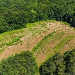 Photo #10 of 1740 NC Highway 61, Whitsett, NC 28.8 acres