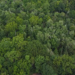 Photo #2 of 7400 & 7400 ZZ Haw Ridge, Summerfield, NC 8.5 acres