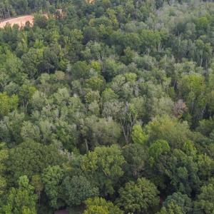 Photo #6 of 7400 & 7400 ZZ Haw Ridge, Summerfield, NC 8.5 acres